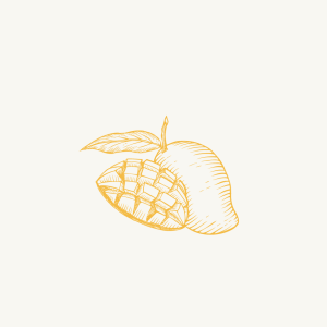 Dry Mango Powder [Amchur]