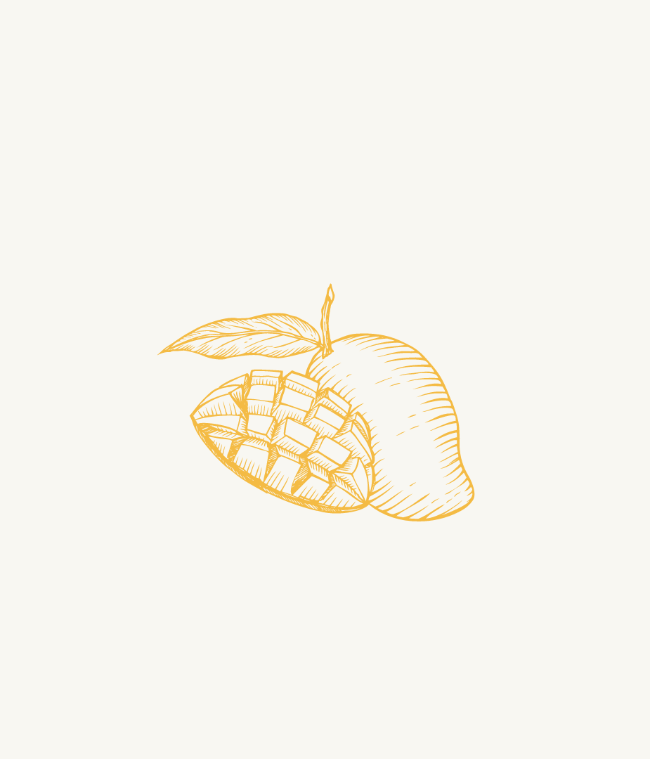 Dry Mango Powder [Amchur]