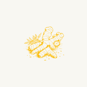 Sabke Turmeric Powder